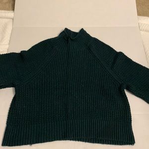 American Eagle Turtleneck Sweater